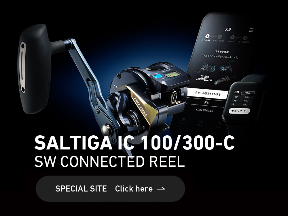 ソルティガ IC 100/300-C(リール)｜DAIWA